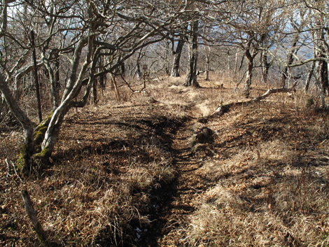 20171207hike (204)